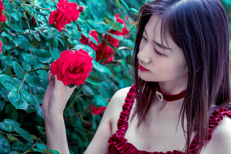 历史第二高产年 今年全国夏粮产量2994.8亿斤